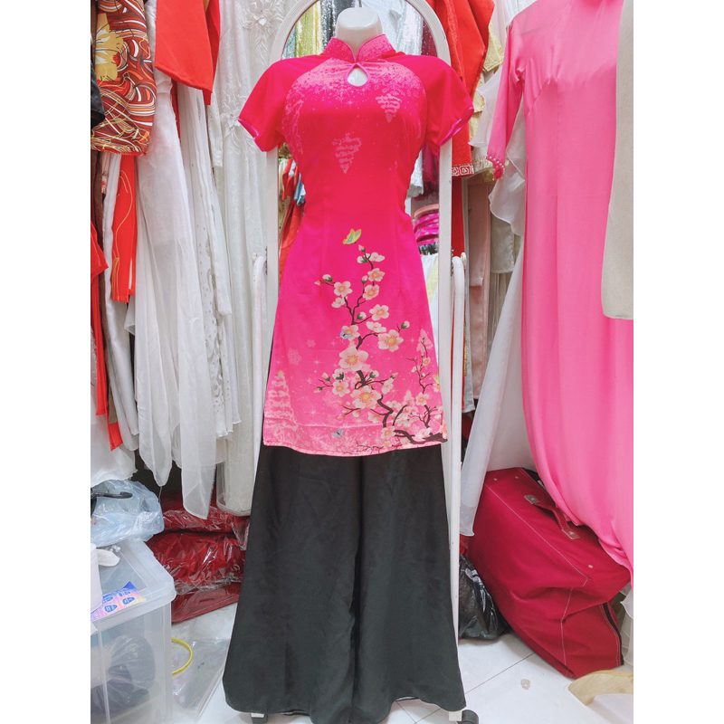 11T4.6 Áo dài cách tân 1