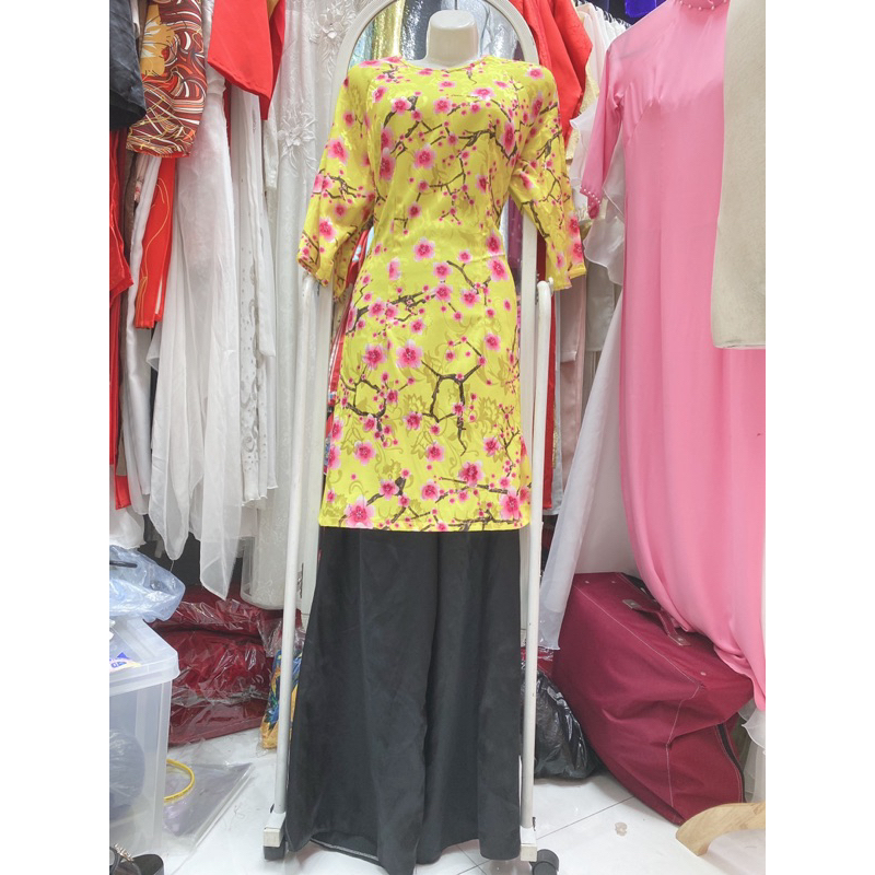 11T4.6 Áo dài cách tân 1