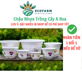 5 Chậu nhựa trồng cây bốn Mùa trồng cây siêu đẹp siêu rẻ 