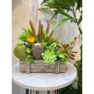 Chậu hoa sen đá giả, xương rồng giả cao cấp trang trí decor