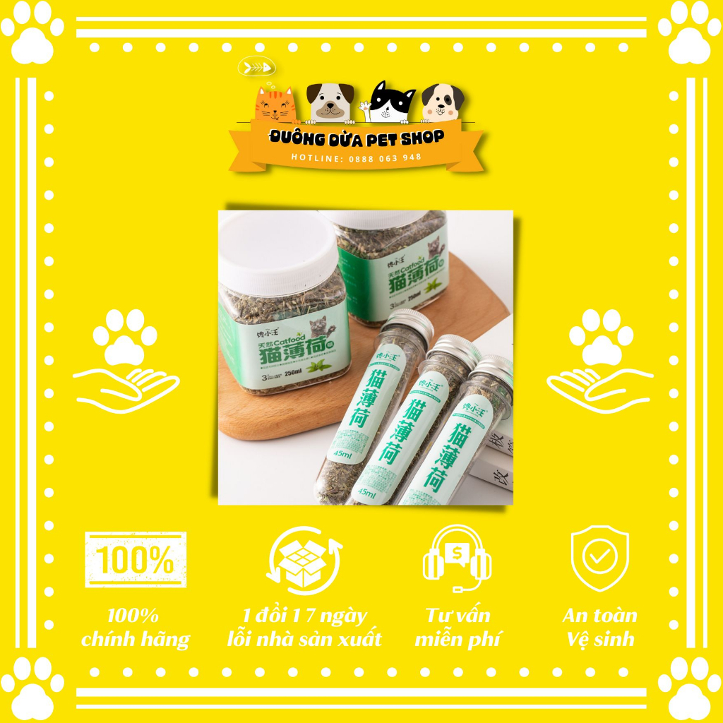 Cỏ mèo Catnip