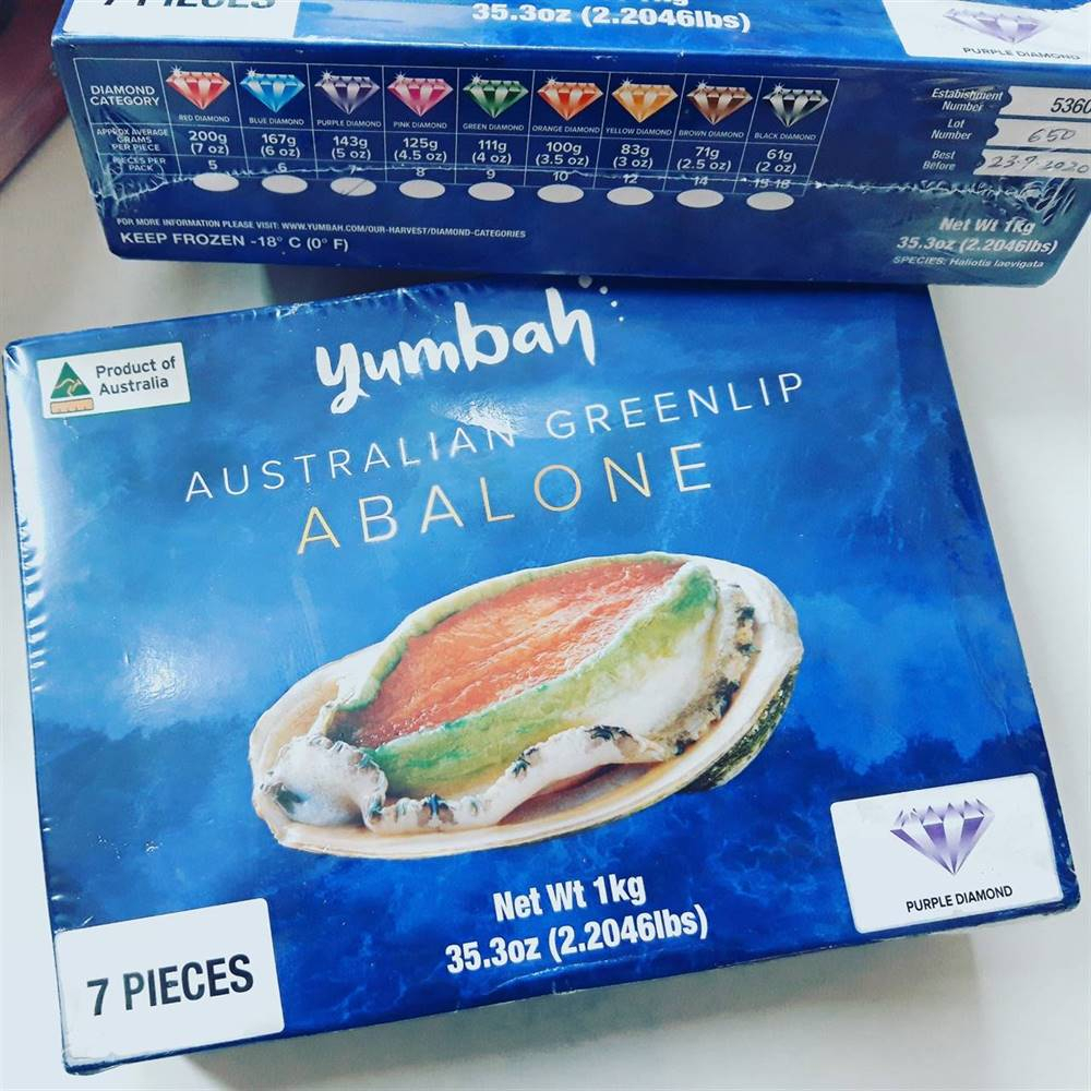 BÀO NGƯ VIỀN XANH ÚC - AUSTRALIA GREENLIP ABALONE