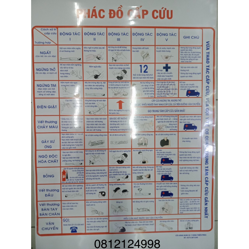 Phác đồ cấp cứu - Phác đồ sơ cấp cứu khổ giấy A1 (63 x 85cm)