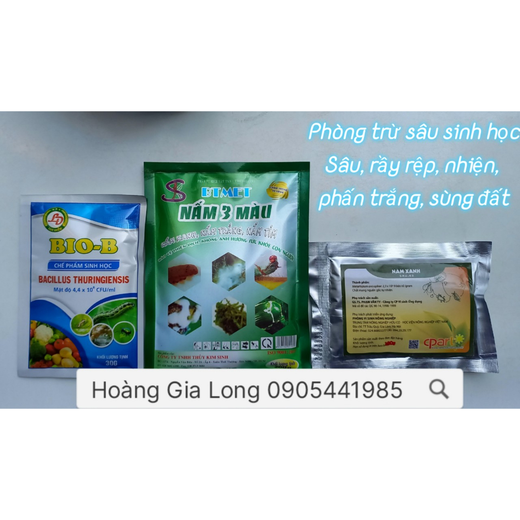 Bộ 3 món chế phẩm vi sinh phòng sâu bệnh: sâu, bọ phấn trắng, rầy rệp, sùng đất: Nấm Xanh, Nấm 3 màu, Bio B
