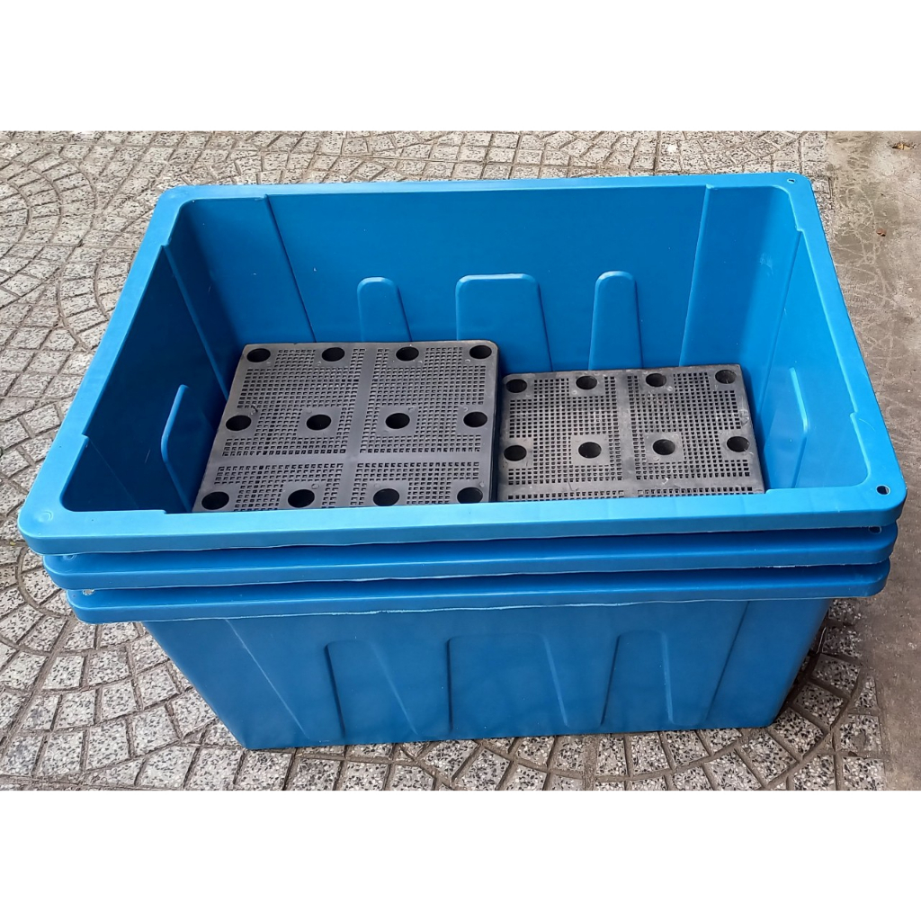 Combo 3 chậu trồng cây ăn quả, bầu bí, Aquaponics thể tích 70 lít 