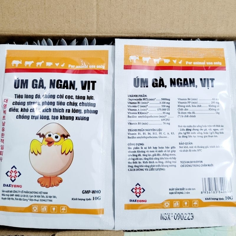 Gói úm gà vịt con bổ sung vitamin cần thiết