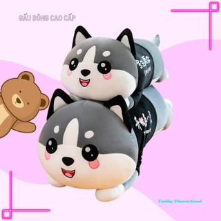 Gấu Bông Mèo Mắt Tròn Siêu Cute Co Dãn Bốn Chiều Teddy Dream Land