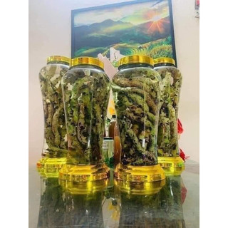 1kg Cốt toái bổ tươi hay gọi là tắc kè đá hỗ trợ tốt cho xương khớp