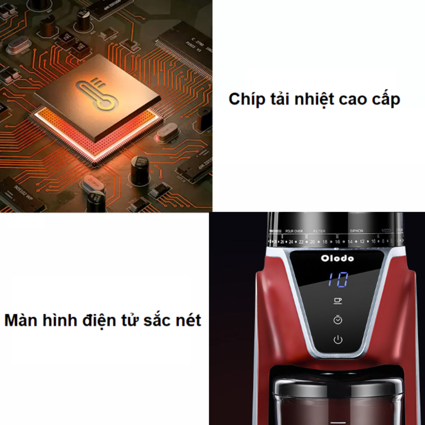 Máy xay hạt cà phê Espresso Olodo CG-001 cao cấp - Hàng Chính Hãng