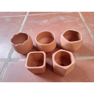 Chậu đất nung trồng sen đá xương rồng-