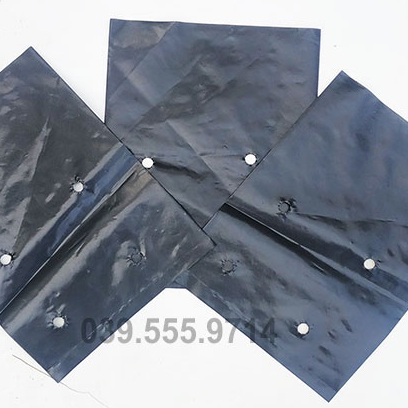 TÚI BẦU VUÔNG ƯƠM CÂY GIỐNG 17X22cm) 1KG - CHẬU NHỰA DẺO BỀN