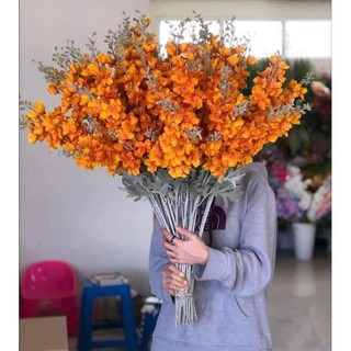 Hoa Giả, Cành Hoa Phi Yến Kép (hình thật)