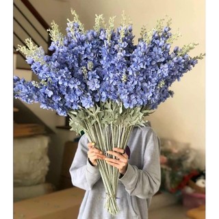 Hoa Giả, Cành Hoa Phi Yến Kép (hình thật)