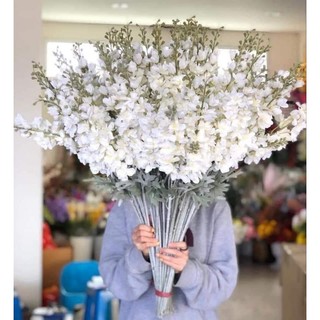 Hoa Giả, Cành Hoa Phi Yến Kép (hình thật)