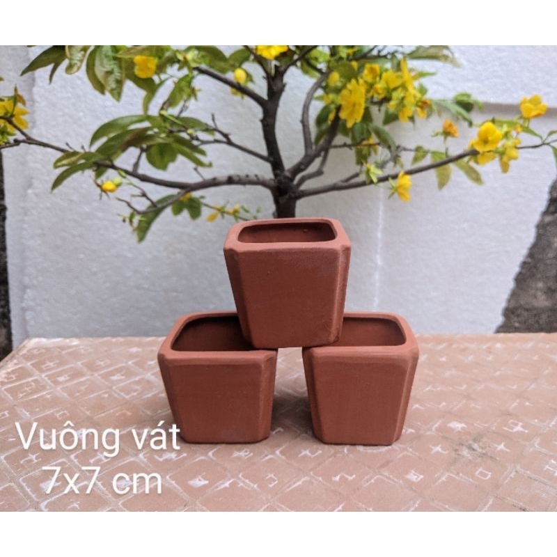 Chậu Vuông Vát Mini trồng sen đá