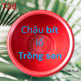 {5 Cái} Chậu Nhựa Bít Lổ T38 Trồng Sen Màu Đỏ 36x20
