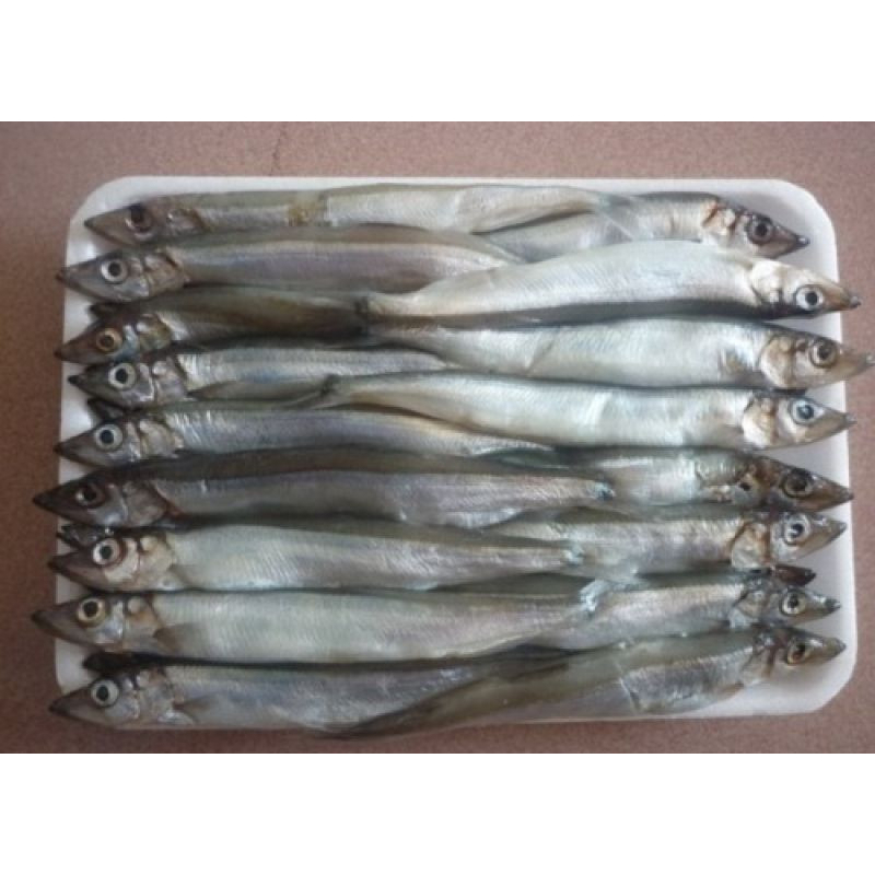 Cá trứng Nauy vĩ 500g (Giao hoả tốc tphcm)