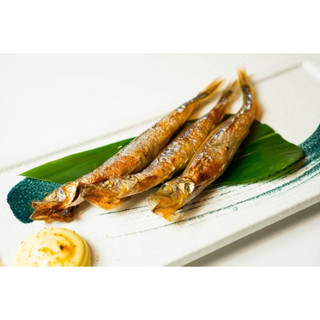 Cá trứng Nauy vĩ 500g (Giao hoả tốc tphcm)