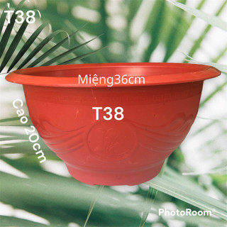 {10 Cái} Chậu Nhựa Truyền Thống T38 Trồng Cây Màu Đỏ 36x20