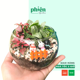 Cây Fittonia lá may mắn trồng trong chậu thủy tinh, Terrarium Mix Cây Kèm Tiểu cảnh độc đáo