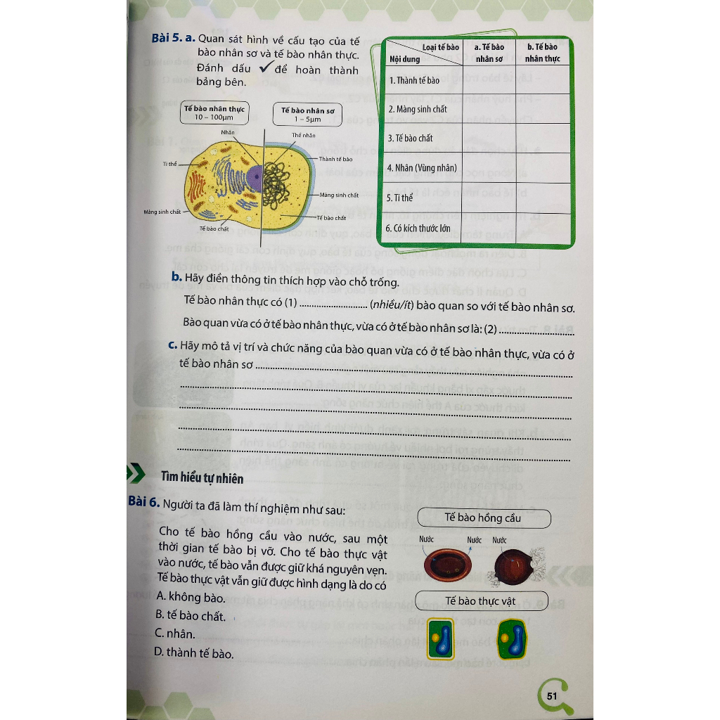 Sách - Bài tập bổ trợ và phát triển năng lực Khoa học tự nhiên lớp 6