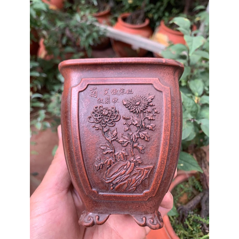 Chậu ống mini (hoạ tiết 4 mùa)