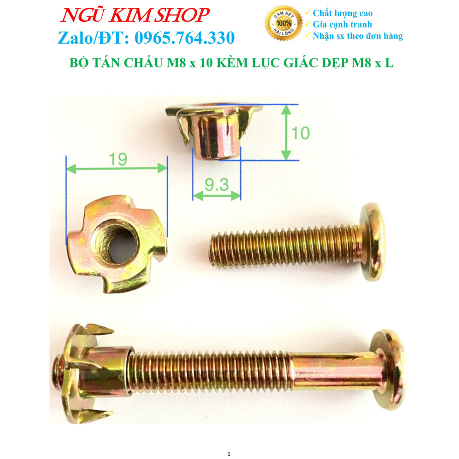 TÁN CHẤU M8 x 10 KÈM LỤC GIÁC DẸP M8 x L THEO BỘ