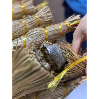 Combo 5 cây tré Bình Định