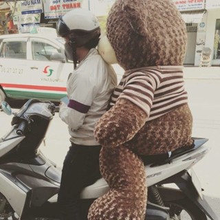 Gấu bông khổng lồ - Teddy áo len Big Size hàng cao cấp lông mịn – size 80cm 1m 1m25 1m55 2m – gối ôm quà tặng sang trọng