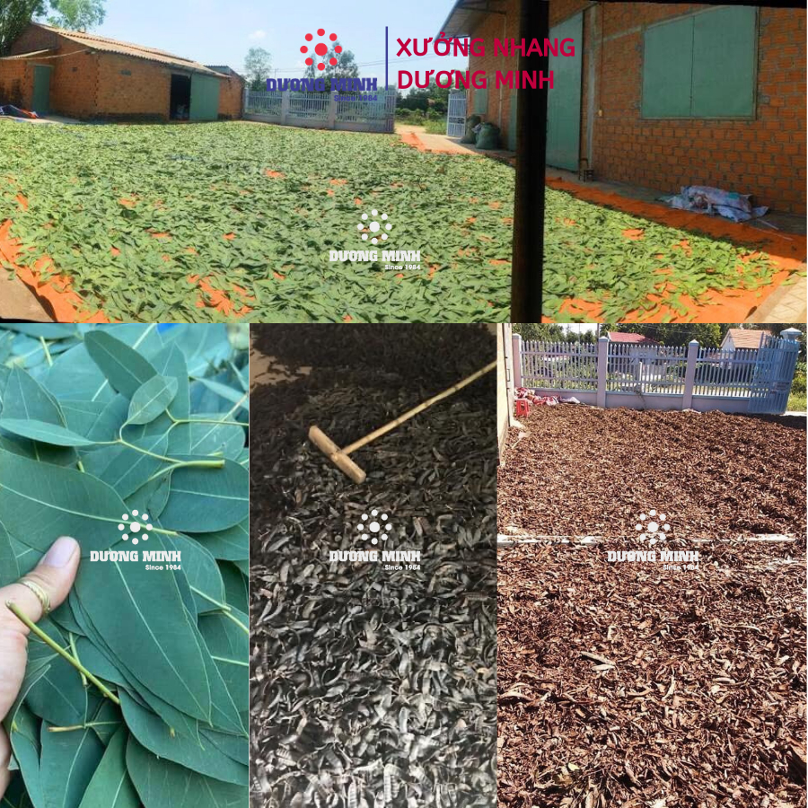 Nhang quế Dương Minh 40cm - nhang thơm quế tự nhiên được kiểm định khói nhang an toàn