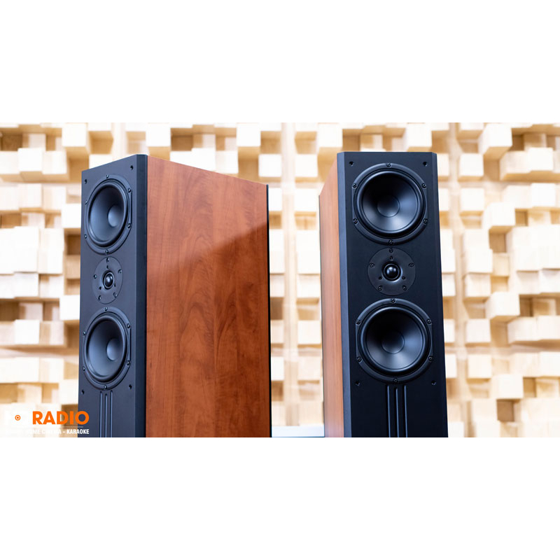 Loa Paramax D88 Limited năm 2023 - Giá 1 cái - Công Ty Thiên Phúc