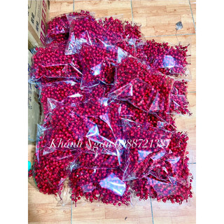 Cành đào đông rời(cành cherry đỏ)