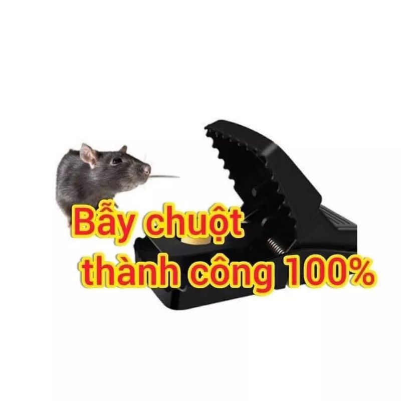 [RẺ.CHẤT.LƯỢNG] CẠM BẪY CHUỘT ĐEN CỠ TO