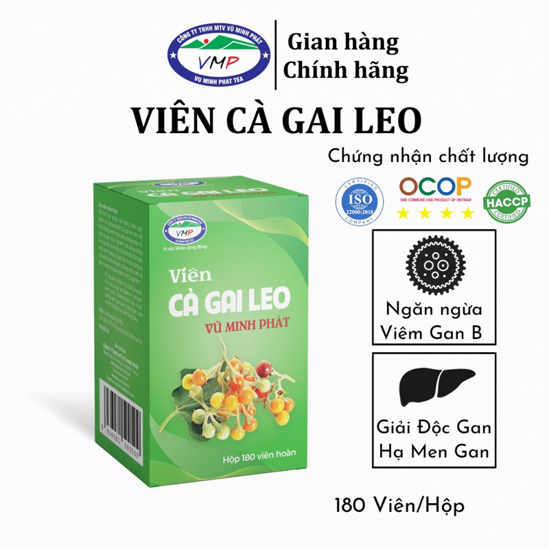 Viên Cà Gai Leo VŨ MINH PHÁT - Mát Gan - Giải Độc Gan - Hạ Men Gan - Tăng Cường Chức Năng Gan