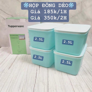 Hộp đông dẻo 2.5l tupperware
