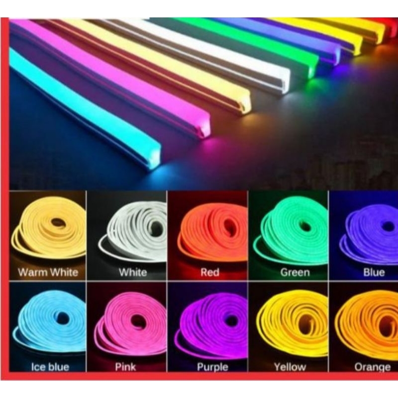Led Neon 12V