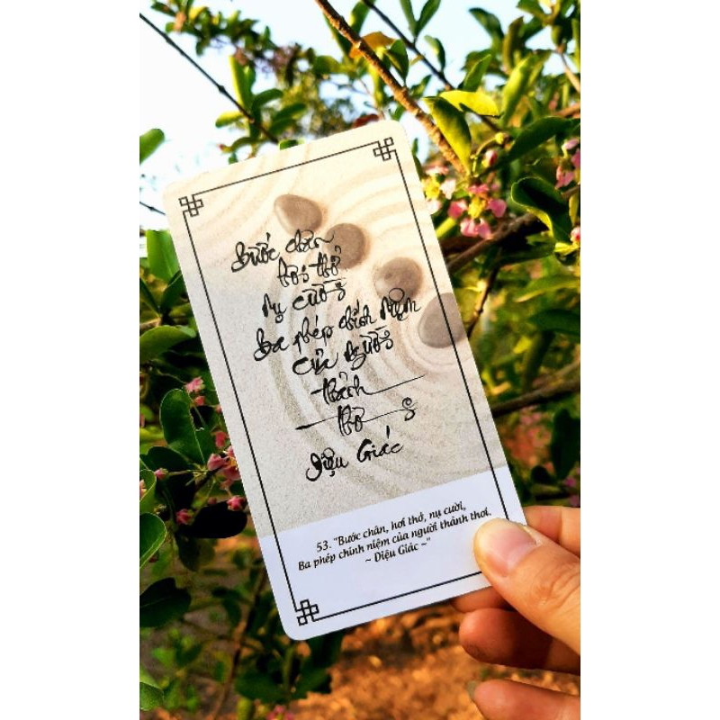 Bộ bài thư pháp LỜI THIỀN TUỆ | Bộ 100 lá | 7cm x 13cm | Lá duyên