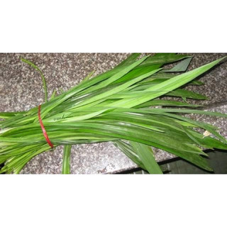 500gr lá dứa thơm