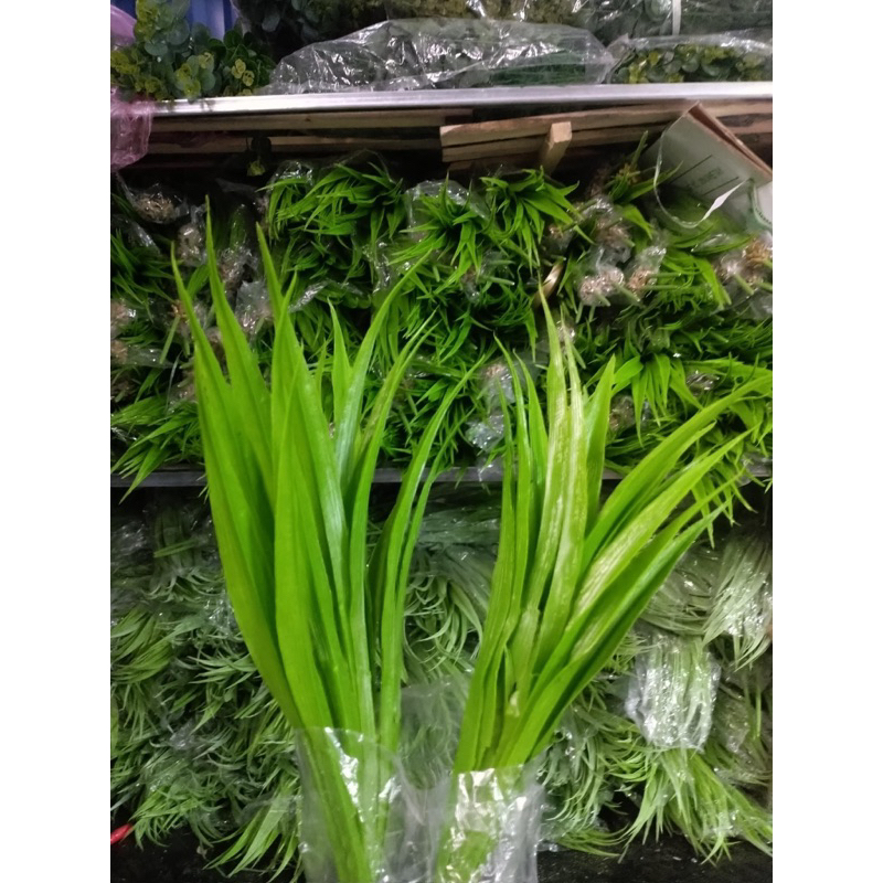 Lá dứa giả trang trí rồng phượng