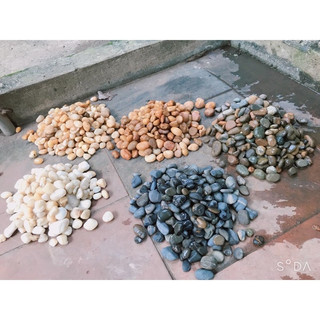 500gr sỏi cuội tự nhiên