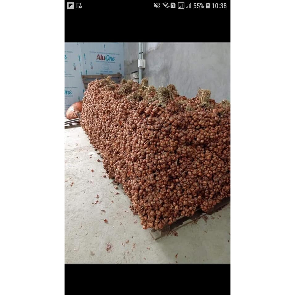 1kg Hành ta khô Kinh Môn Hải Dương  đã chọn lọc