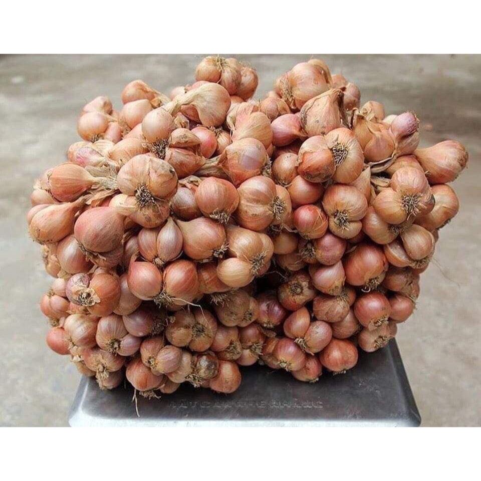 1kg Hành ta khô Kinh Môn Hải Dương  đã chọn lọc