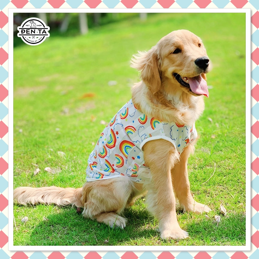 Áo ba lỗ thun lỗ thoáng khí mùa hè cho chó to lớn và vừa in hình cầu vồng - Đen Ta Pet shop