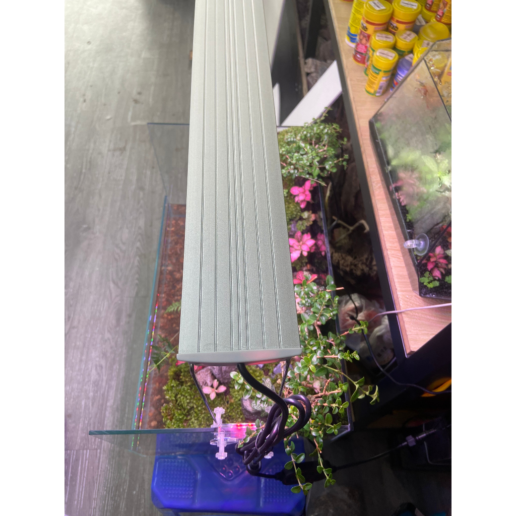 ĐÈN LED COCO WRGB R1500