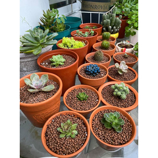 Hạt đất nung popper thái lan - 3 lít | mocminigarden