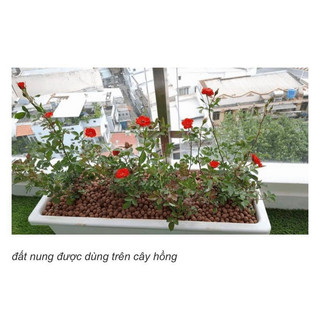 Hạt Đất Nung Popper Thái Lan - 3 Lít | Mocminigarden
