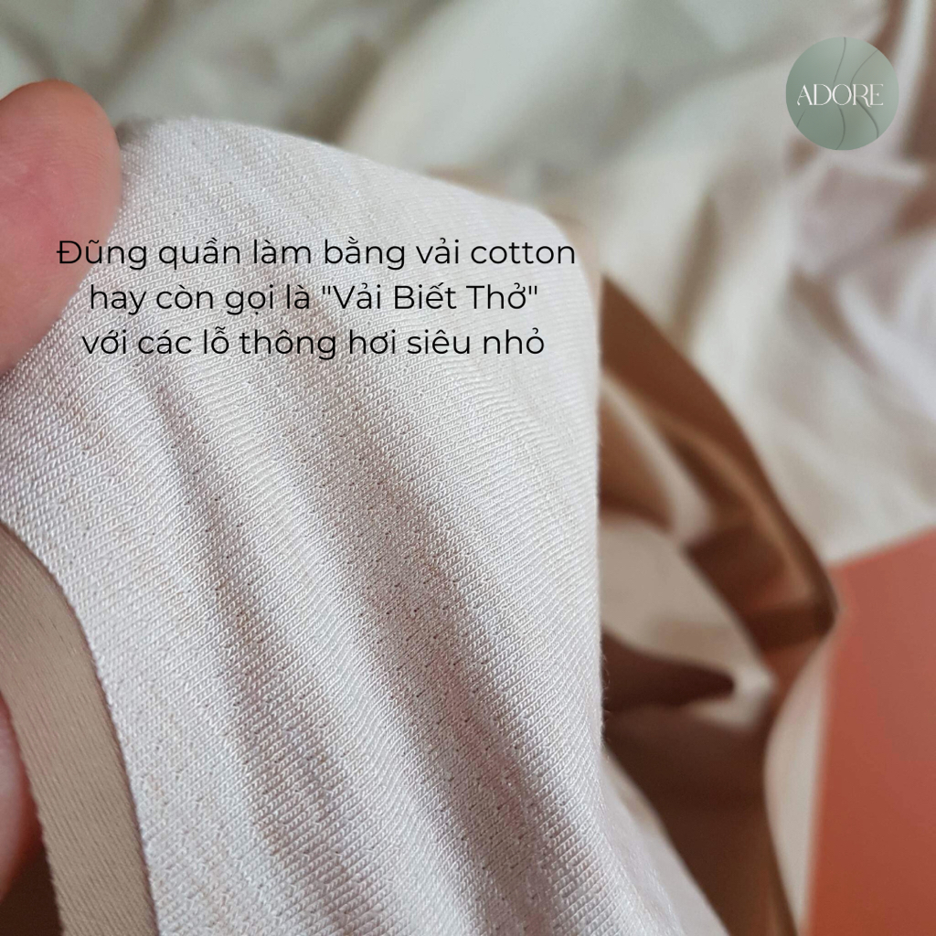 Set 3 Quần Lót Thun Chuẩn Siêu Mềm Không Viền