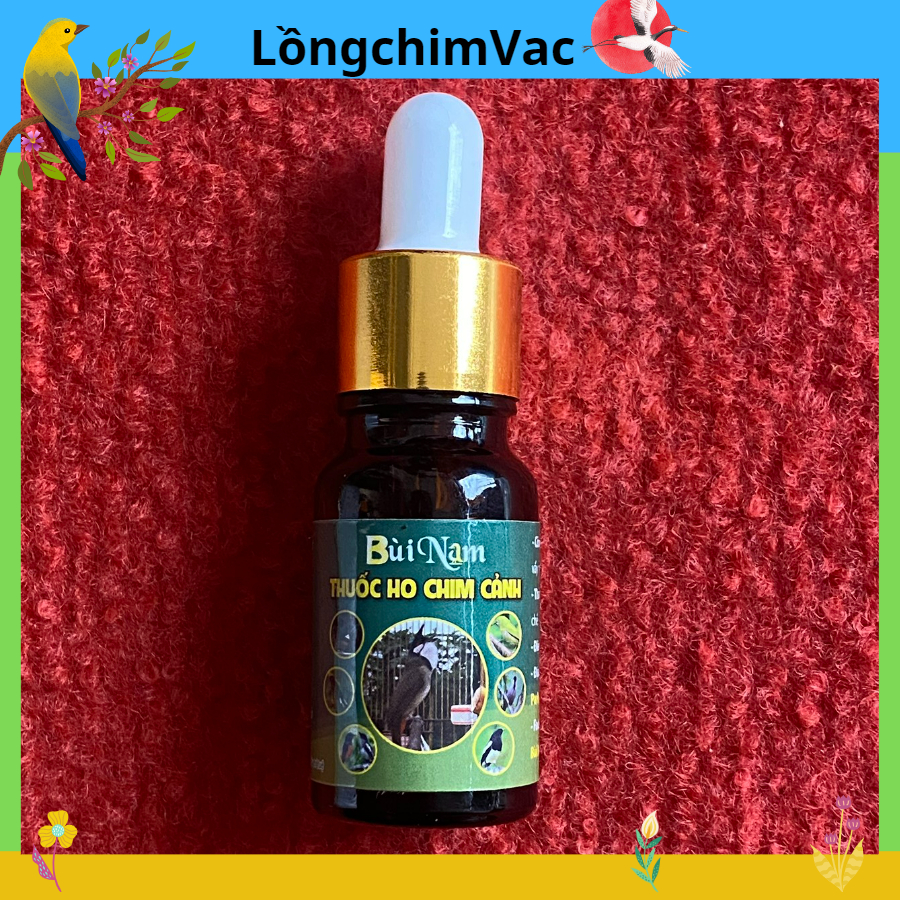 Nước Trị Ho Chim Cành Bảo Nam, Điều Trị Ho Hen, Vẩy Mỏ, Bệnh Đường Hô Hấp