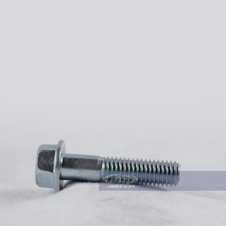 Ốc chảng ba (RGV - Apido) - RGV120-0576