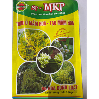 MKP - Thúc ử mầm hoa - tạo mầm hoa- ra hoa đồng loạt